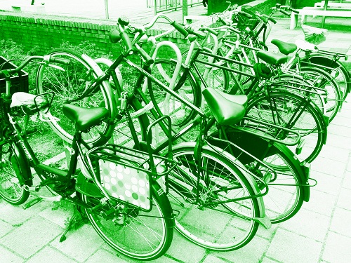 Duotone green: Green-tinted monochrome print