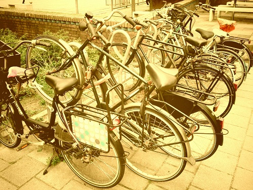 Summer: Hazy warm greens and browns